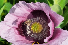 Vorschlag_2026_003