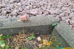 Vorschlag_2026_005