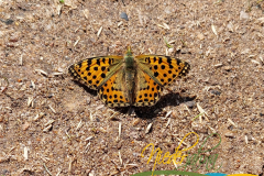 Vorschlag_2026_014