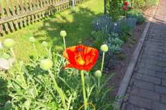 Vorschlag_2026_016