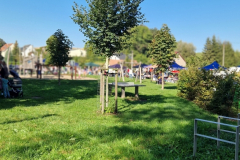 2024_Flohmarkt_Nr_3_012